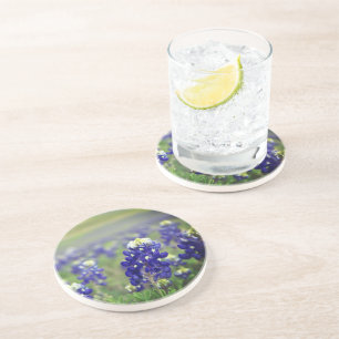 Dessous De Verre En Grès Bluebonnets Fleurs Bleues Texas Texan Floral