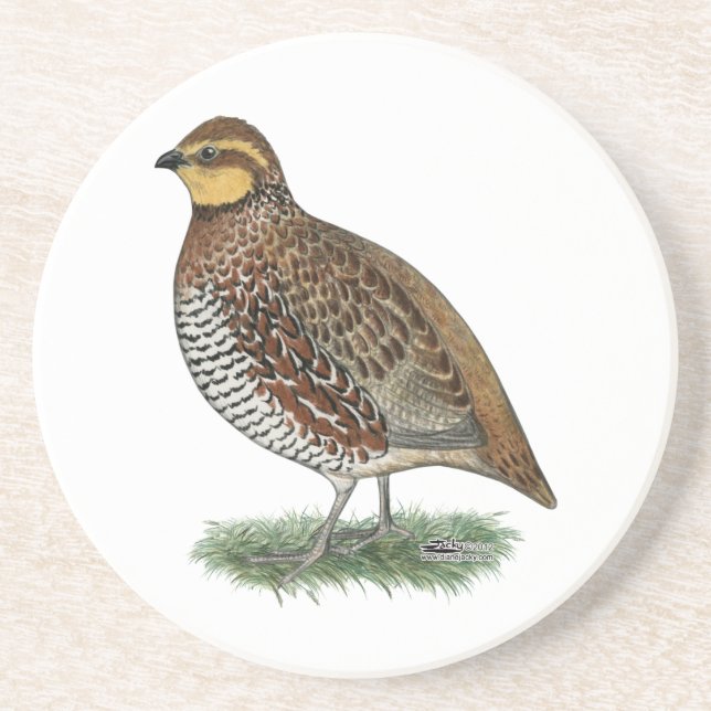 Dessous De Verre En Grès Bobwhite Quail Hen (Devant)