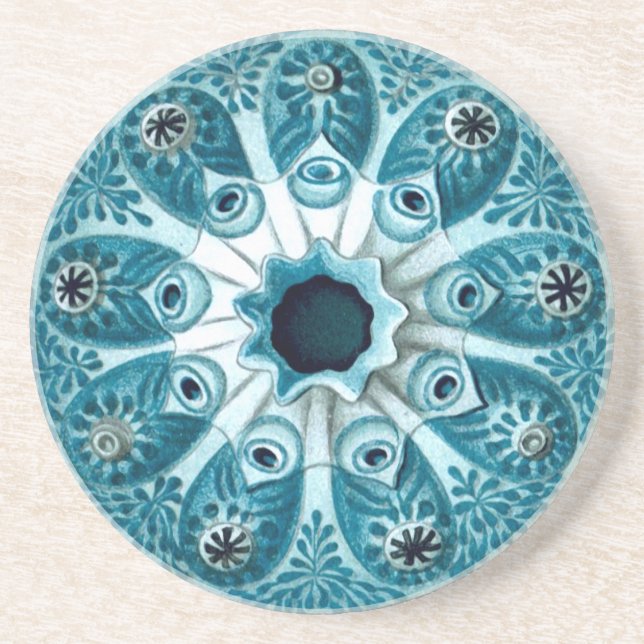 Dessous De Verre En Grès Botryllus Polycyclus Ernst Haeckel Fine Art (Devant)