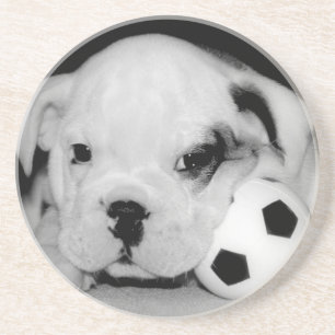 Dessous De Verre En Grès Bouledogue anglais "de chiot du football"