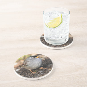 Dessous De Verre En Grès Bruant à couronne blanche joufflu sous le soleil d