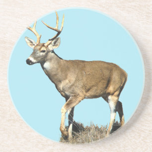 Dessous De Verre En Grès Buck White Tailed