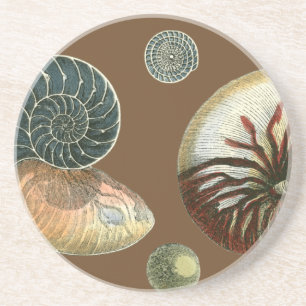 Dessous De Verre En Grès Cacao Shell