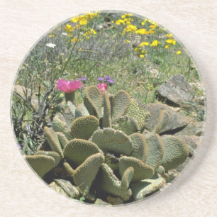 Dessous De Verre En Grès Cactus fleurissant de Beavertail avec le flowe de