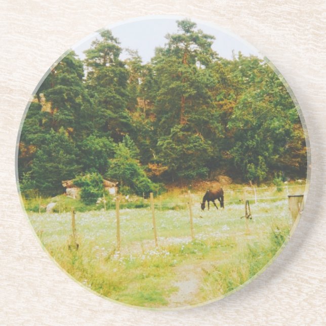 Dessous De Verre En Grès Campagne suédoise (Devant)