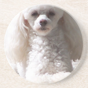 Dessous De Verre En Grès Caniche de jouet