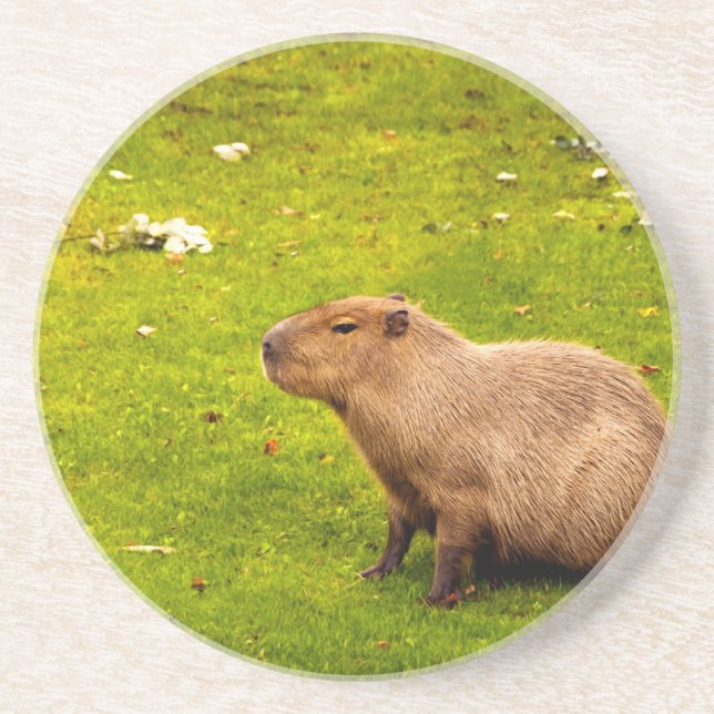 Dessous De Verre En Grès Capybara (Devant)