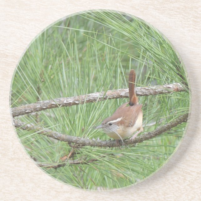 Dessous De Verre En Grès Carolina Wren in Pine Tree (Devant)