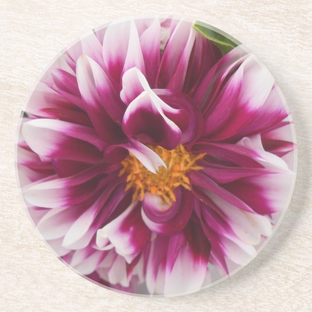 Dessous De Verre En Grès Cartheuserine (Devant)