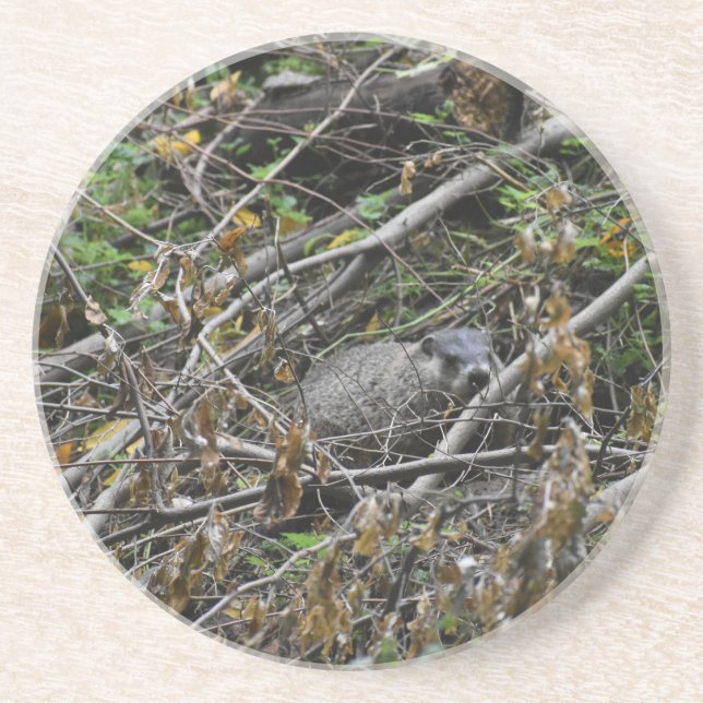 Dessous De Verre En Grès Castor occupé (Devant)