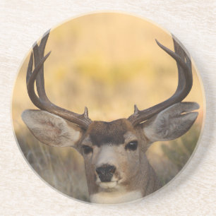Dessous De Verre En Grès cerfs communs