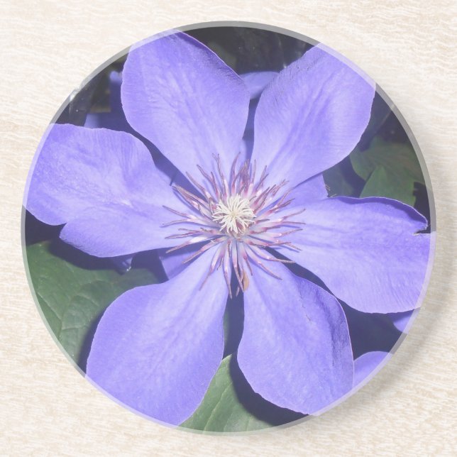 Dessous De Verre En Grès Césarine (Devant)