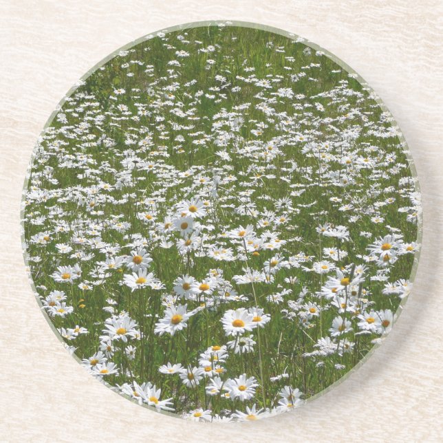 Dessous De Verre En Grès Champ de marguerites Fleurs sauvages de l'Alaska (Devant)