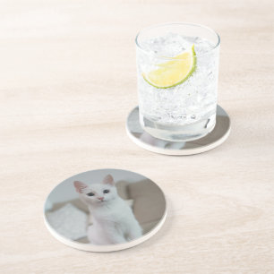 Dessous De Verre En Grès chat blanc   Zazzle_Growshop.
