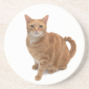 Dessous De Verre En Grès Chat orange debout