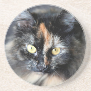 Dessous De Verre En Grès Chat sibérien