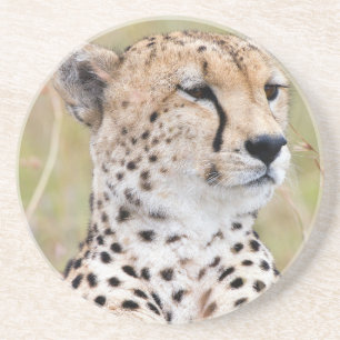 Dessous De Verre En Grès Cheetah