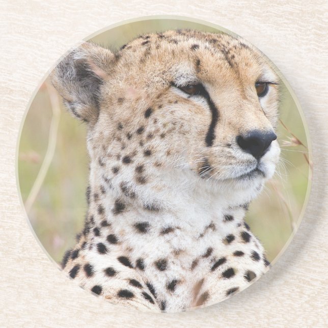 Dessous De Verre En Grès Cheetah (Devant)