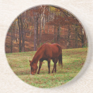 Dessous De Verre En Grès Cheval Brown avec nez blanc au bord des bois