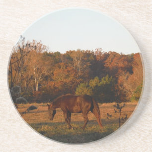 Dessous De Verre En Grès Cheval Brown rouge, bois d'automne.