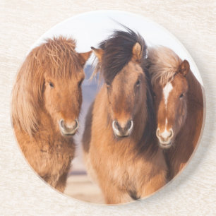 Dessous De Verre En Grès Cheval islandais en hiver