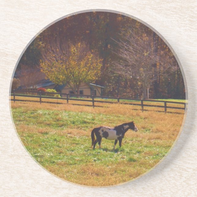 Dessous De Verre En Grès Cheval peint à distance (Devant)