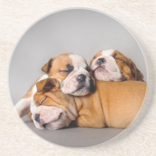 Dessous De Verre En Grès Chiens de taureaux anglais dormant