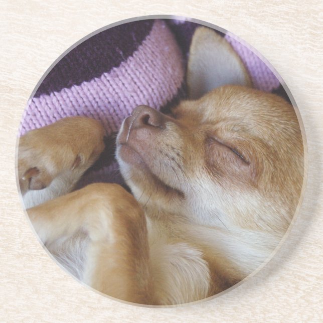 Dessous De Verre En Grès Chihuahua endormi (Devant)