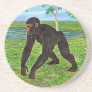 Dessous De Verre En Grès Chimpanzé