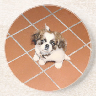 Dessous De Verre En Grès Chiot adorable de pékinois