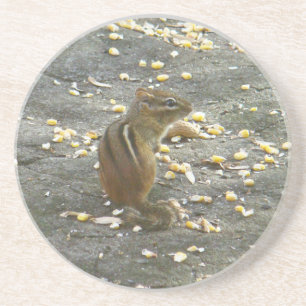 Dessous De Verre En Grès Chipmunk on Rock Items