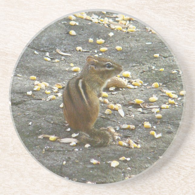 Dessous De Verre En Grès Chipmunk on Rock Items (Devant)