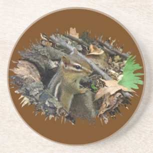 Dessous De Verre En Grès Chipmunk oriental - Tamias striatus