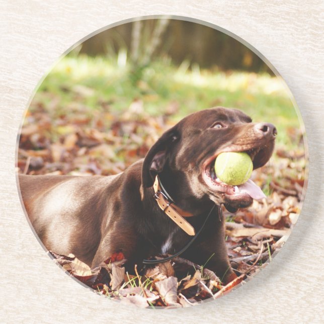 Dessous De Verre En Grès Chocolat Labrador Jouer Avec Ball (Devant)