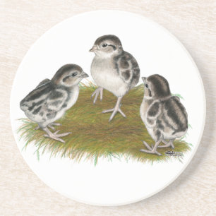 Dessous De Verre En Grès Chukar Partridge Chicks