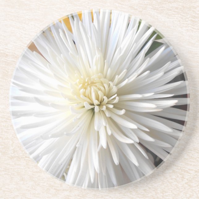 Dessous De Verre En Grès Claricia (Devant)