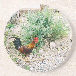 Dessous De Verre En Grès Coaster_Rooster
