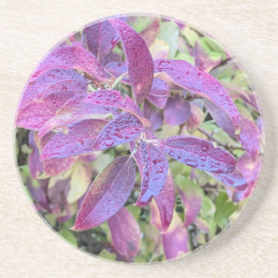 Dessous De Verre En Grès Coaster with leaves