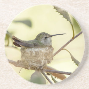 Dessous De Verre En Grès Colibri femelle sur son nid