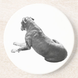 Dessous De Verre En Grès Compagnon de table calme