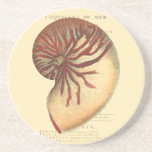 Dessous De Verre En Grès Conque rouge vintage Shell
