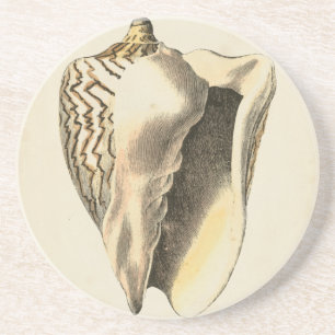 Dessous De Verre En Grès Conque vintage Shell de sépia