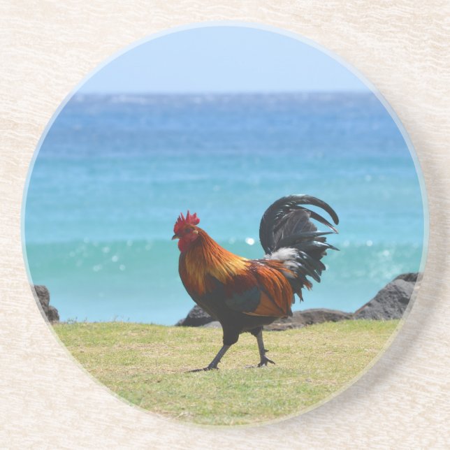 Dessous De Verre En Grès Coq de Kauai (Devant)