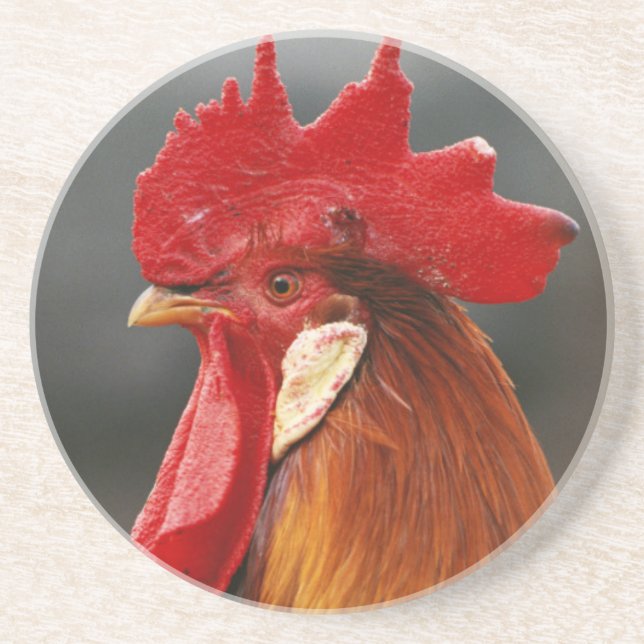 Dessous De Verre En Grès Coq domestique de basse-cour (Devant)
