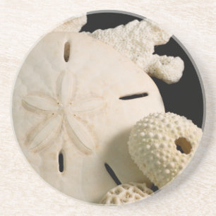 Dessous De Verre En Grès Coquilles blanches et dollar de sable