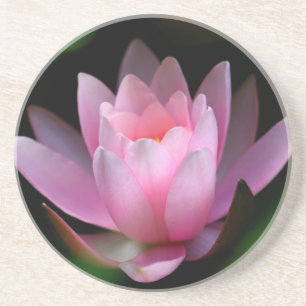 Dessous De Verre En Grès coster de fleur