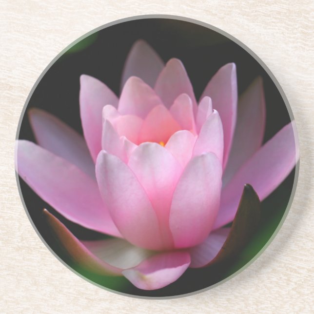 Dessous De Verre En Grès coster de fleur (Devant)