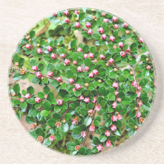 Dessous De Verre En Grès Cotonou horizontalis