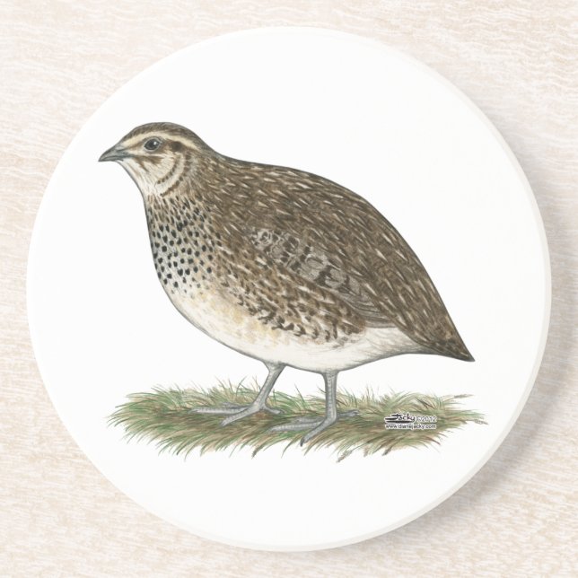 Dessous De Verre En Grès Coturnix Quail (Devant)