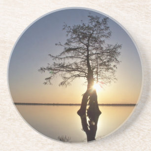 Dessous De Verre En Grès Coucher de soleil derrière un arbre